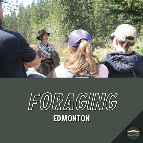 Foraging Walk - Edmonton M